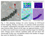 Informative Path Planning for Active Learning in Aerial Semantic Mapping